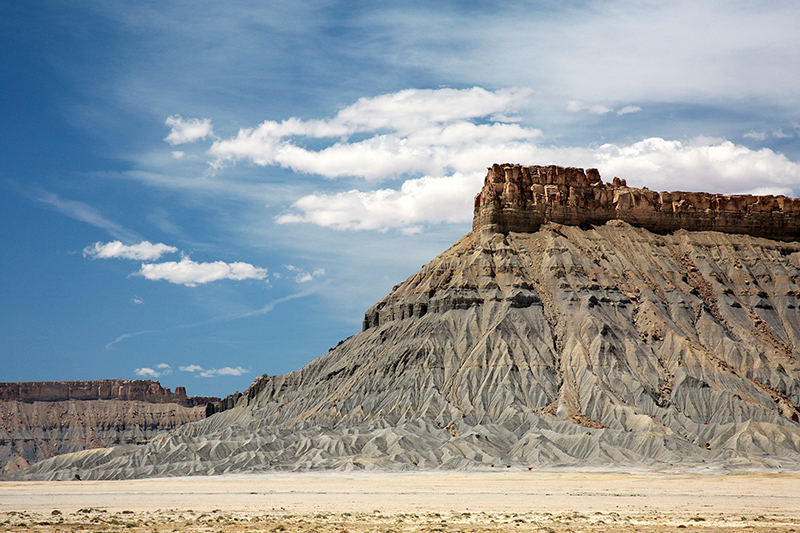 Bison : Antelope Island : Utah : Landscape Photos : Richard Moore : Photographer